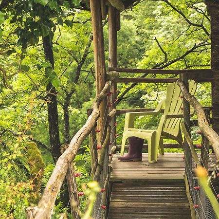 Terragora Lodges - Hebergement Atypique Les Épesses 외부 사진