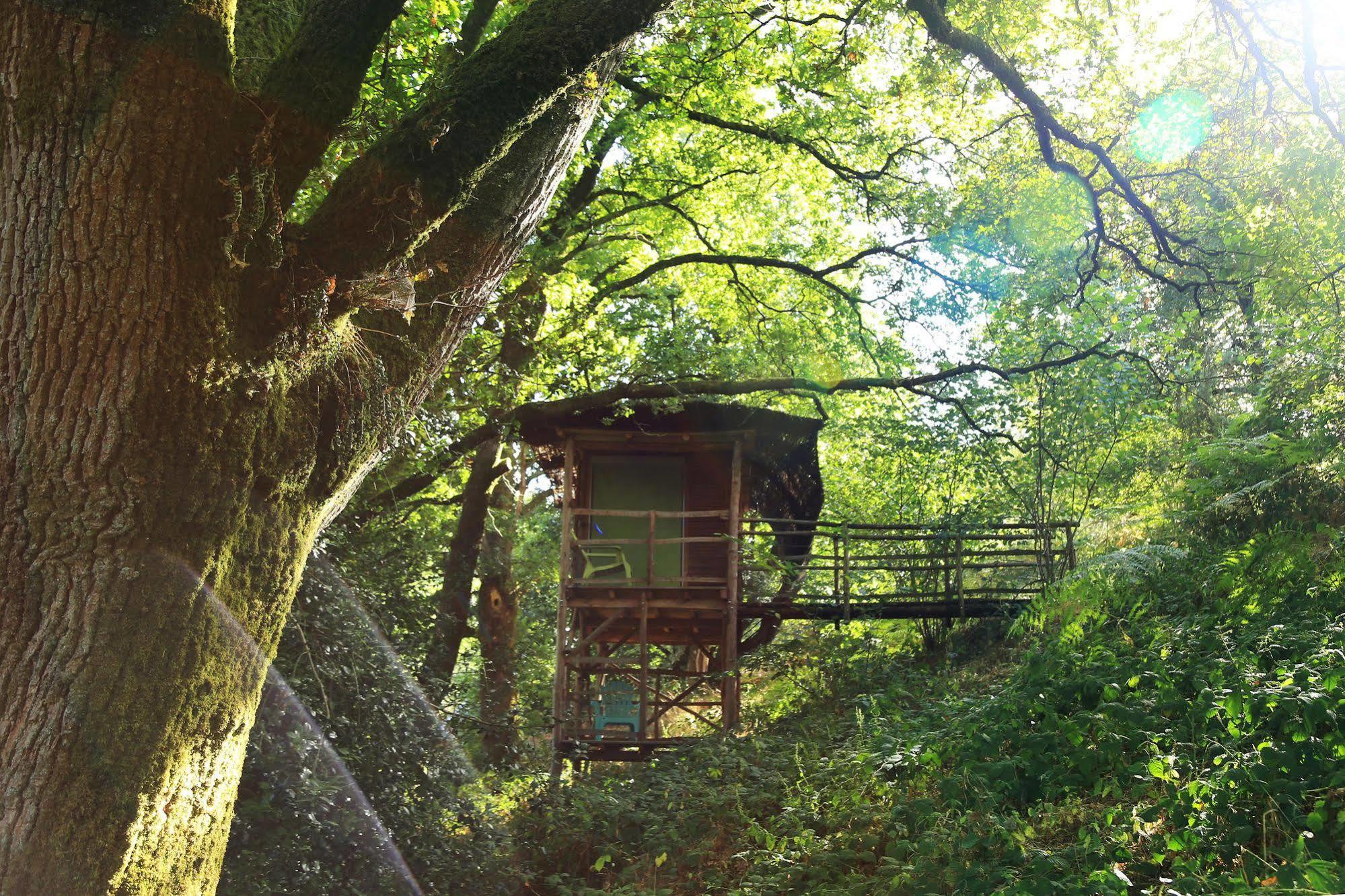 Terragora Lodges - Hebergement Atypique Les Épesses 외부 사진